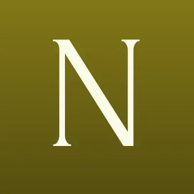 Nef, автомойка, лого-визитка